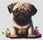 (image for) Pug and Flowers